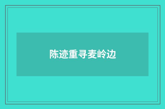 陈迹重寻麦岭边