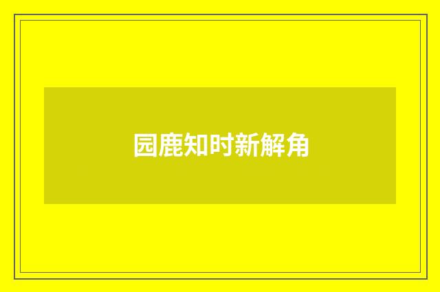 园鹿知时新解角
