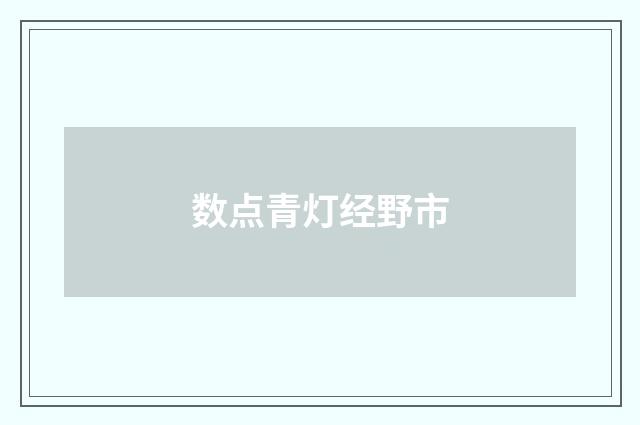 数点青灯经野市