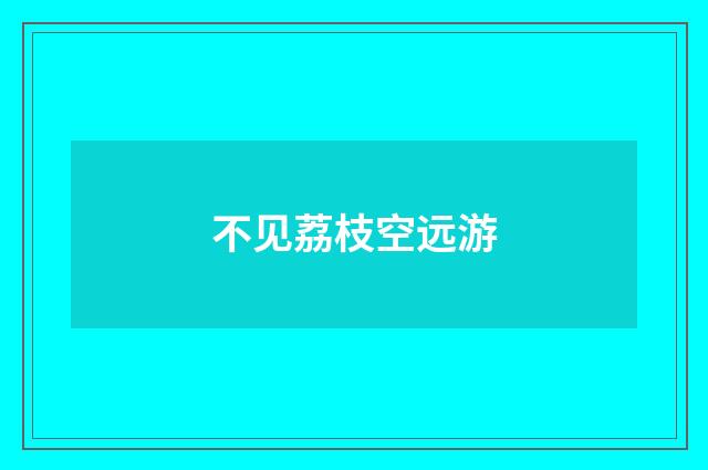 不见荔枝空远游