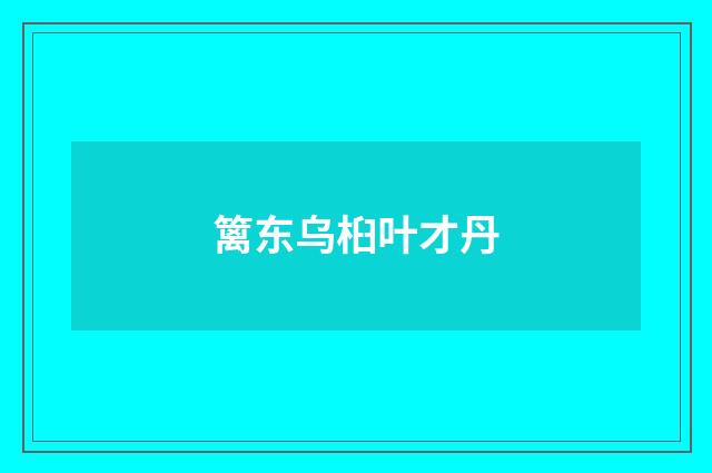 篱东乌桕叶才丹