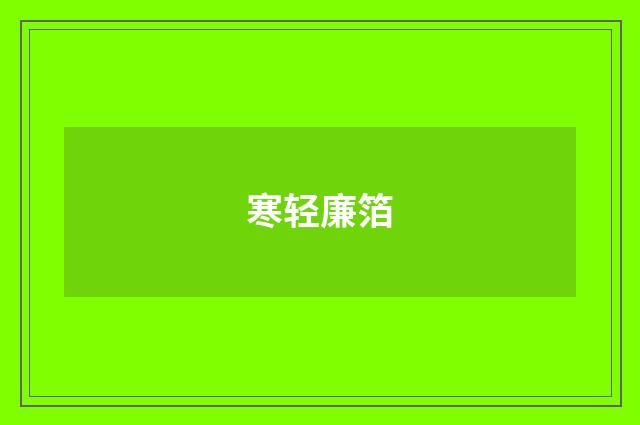 寒轻廉箔