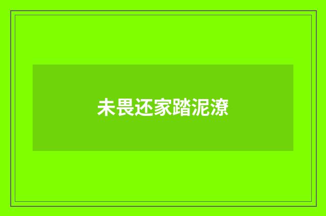 未畏还家踏泥潦