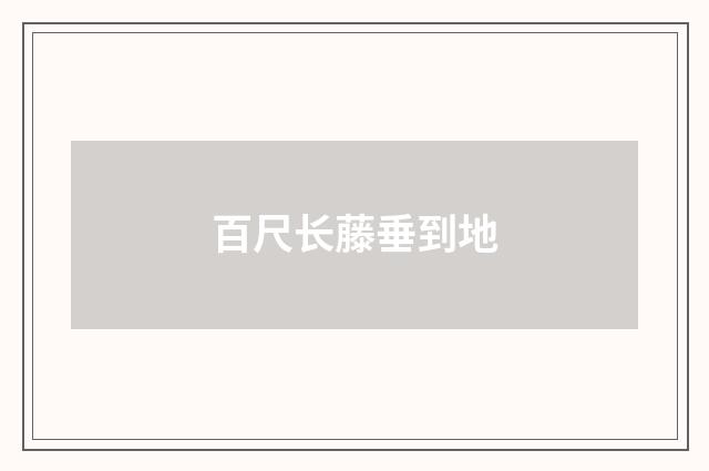 百尺长藤垂到地