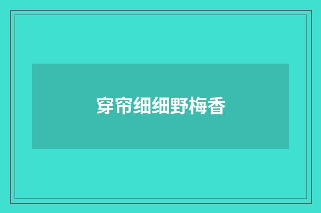 穿帘细细野梅香