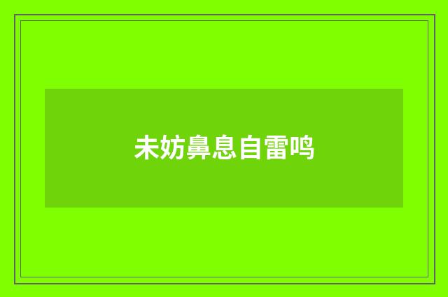 未妨鼻息自雷鸣