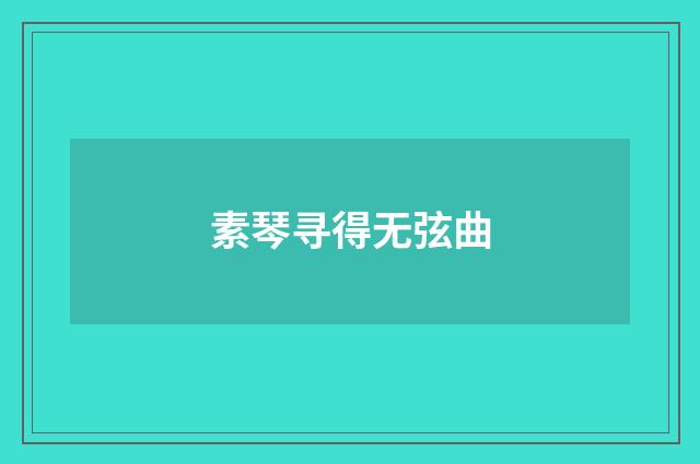 素琴寻得无弦曲