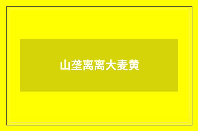 山垄离离大麦黄