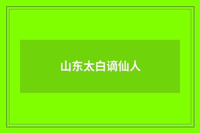 山东太白谪仙人