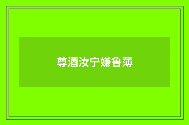 尊酒汝宁嫌鲁薄