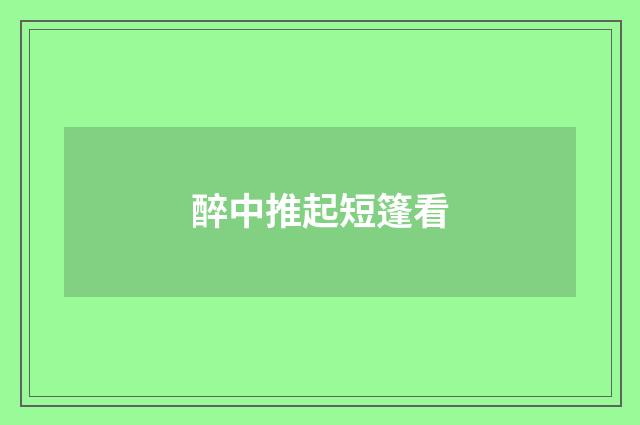 醉中推起短篷看
