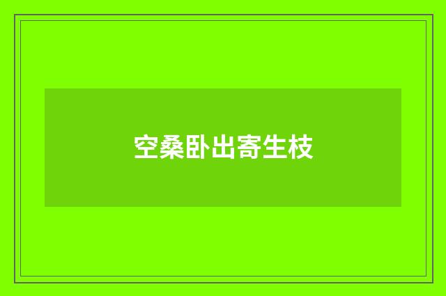 空桑卧出寄生枝