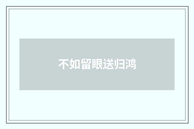 不如留眼送归鸿