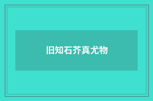 旧知石芥真尤物