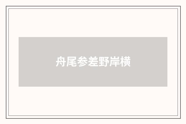 舟尾参差野岸横