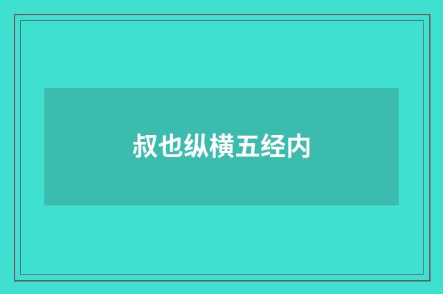叔也纵横五经内