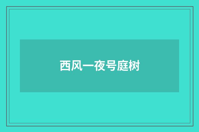 西风一夜号庭树