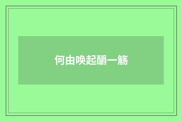 何由唤起釂一觞