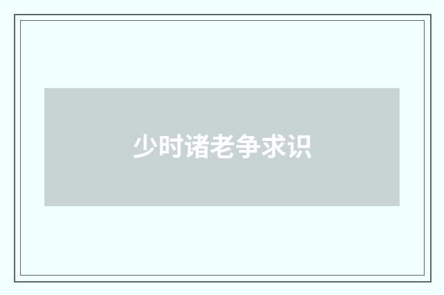 少时诸老争求识