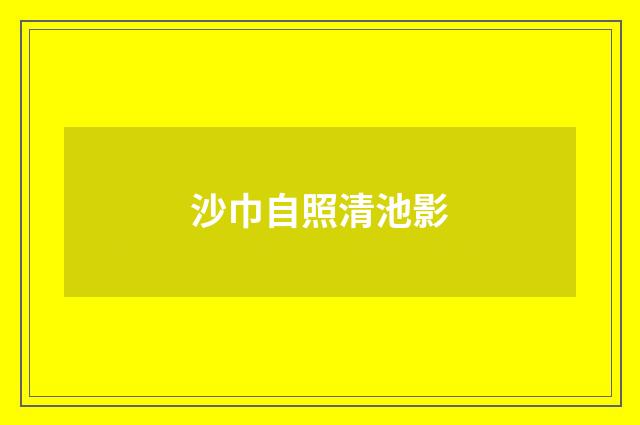 沙巾自照清池影