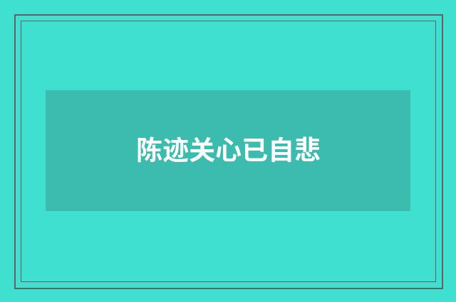 陈迹关心已自悲