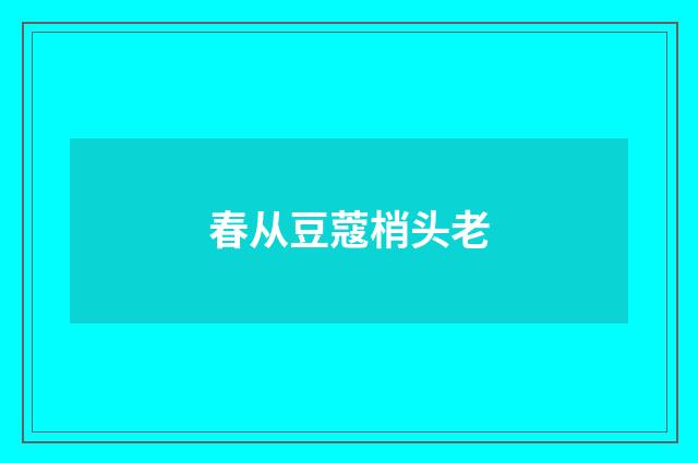 春从豆蔻梢头老