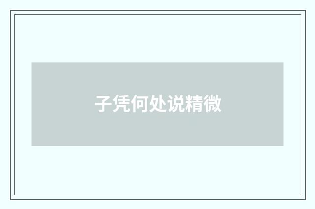 子凭何处说精微