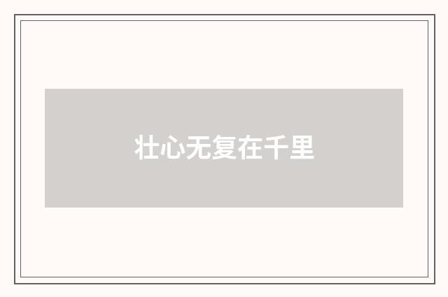 壮心无复在千里