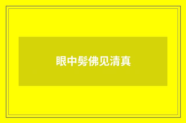 眼中髣佛见清真