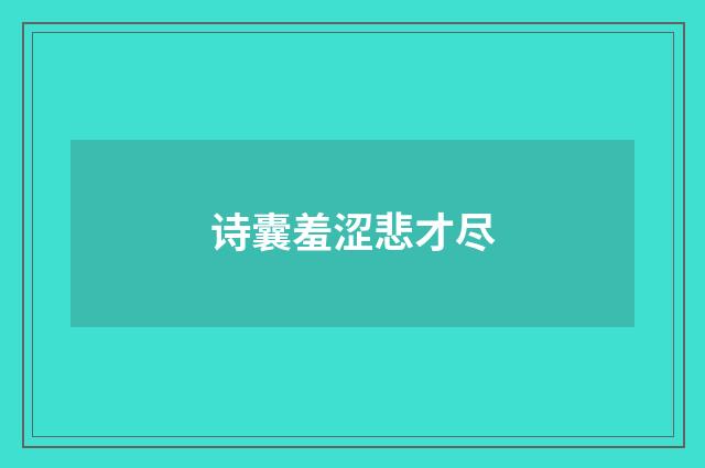 诗囊羞涩悲才尽