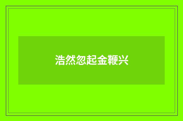 浩然忽起金鞭兴