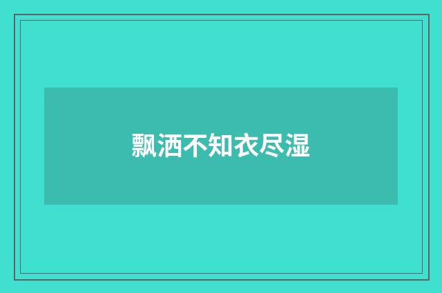 飘洒不知衣尽湿
