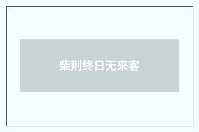 柴荆终日无来客