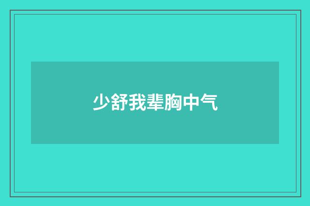 少舒我辈胸中气