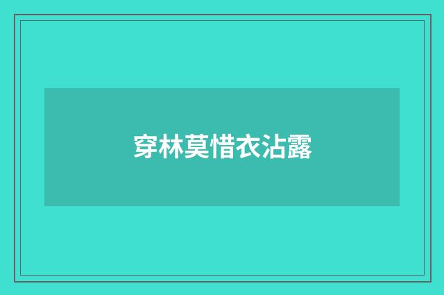 穿林莫惜衣沾露