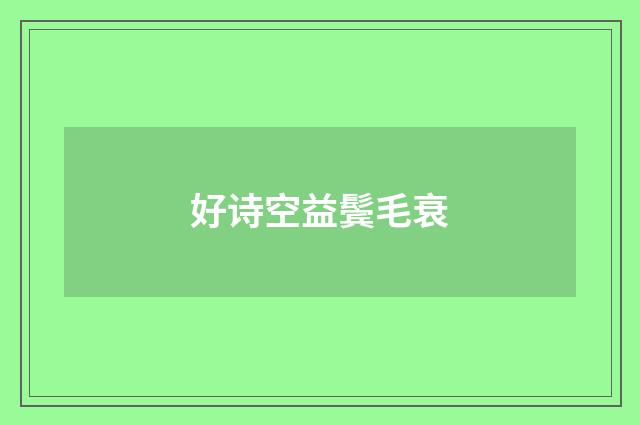 好诗空益鬓毛衰