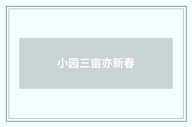 小园三亩亦新春