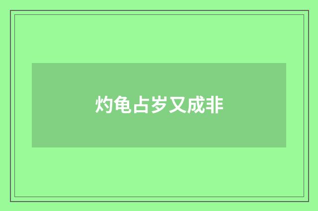 灼龟占岁又成非
