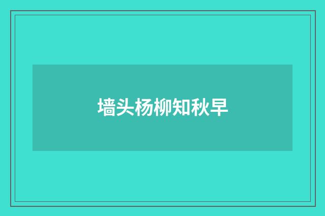墙头杨柳知秋早