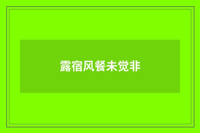 露宿风餐未觉非