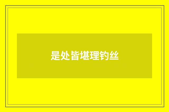 是处皆堪理钓丝