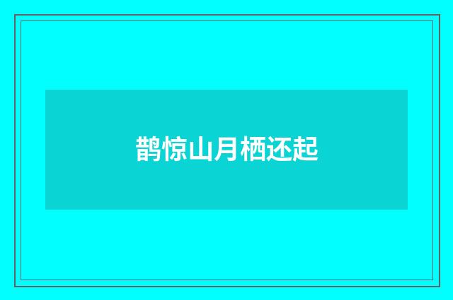 鹊惊山月栖还起