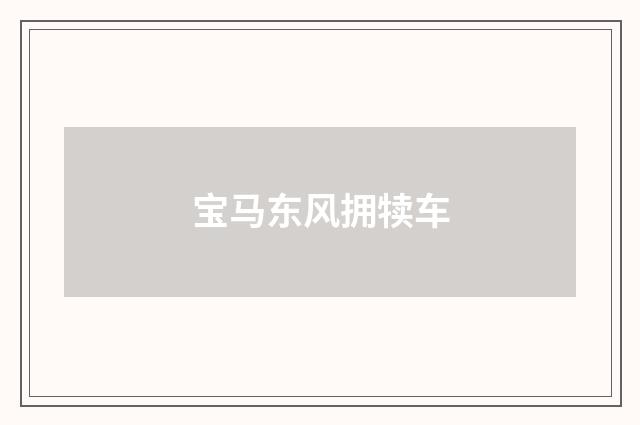 宝马东风拥犊车