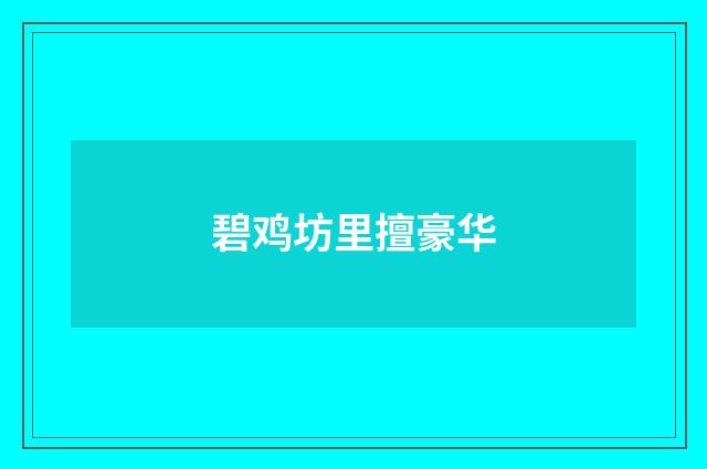 碧鸡坊里擅豪华