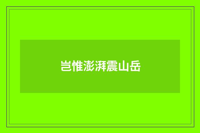 岂惟澎湃震山岳