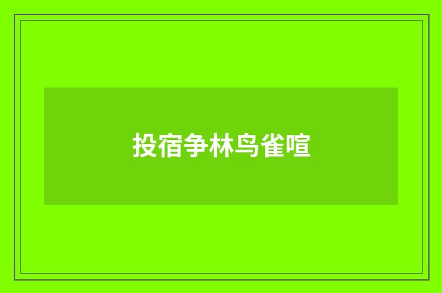 投宿争林鸟雀喧