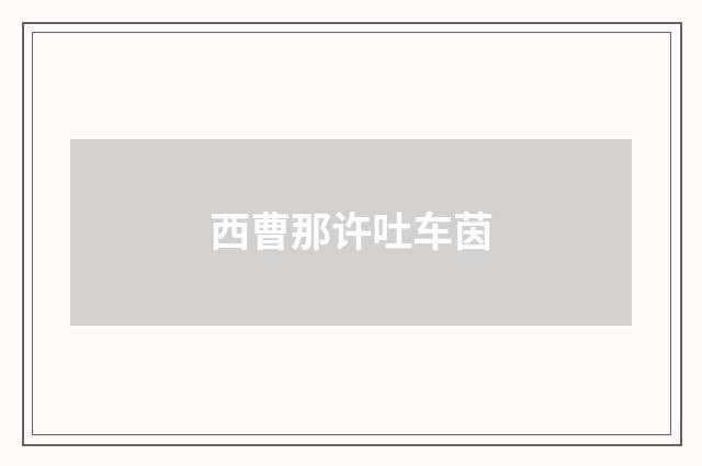 西曹那许吐车茵