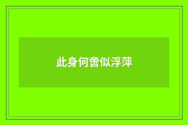 此身何啻似浮萍
