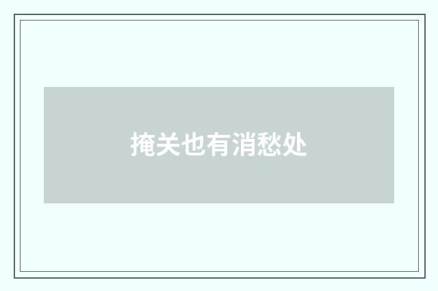 掩关也有消愁处