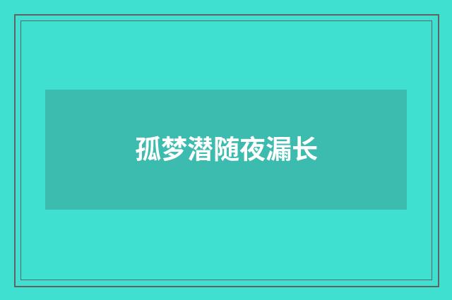 孤梦潜随夜漏长